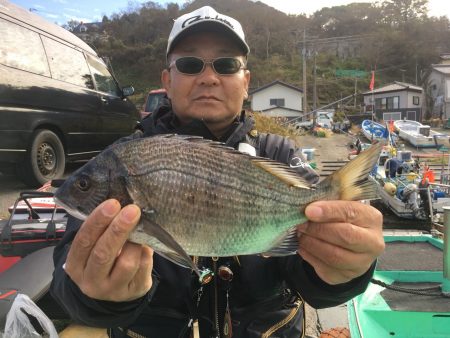 由良渡船 釣果