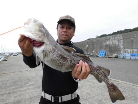 大進丸（新潟） 釣果
