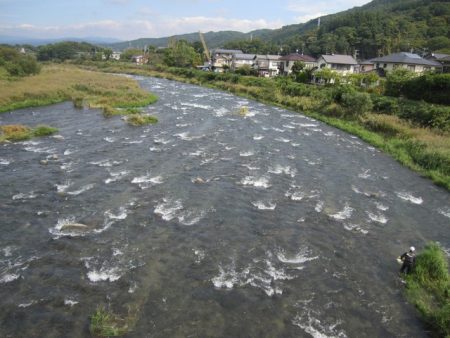 狩野川(狩野川漁業協同組合) 釣果