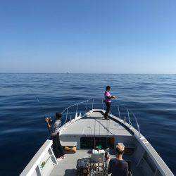 へいみつ丸 釣果