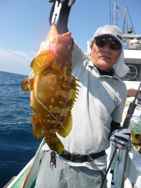 真祐丸 （しんゆうまる） 釣果