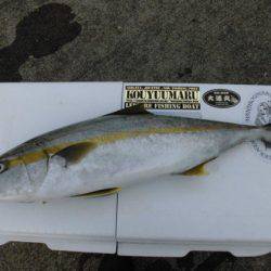 大進丸（新潟） 釣果