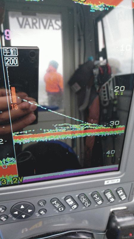 遊漁船ブルーウッズ 釣果