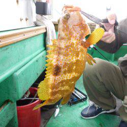 真祐丸 （しんゆうまる） 釣果