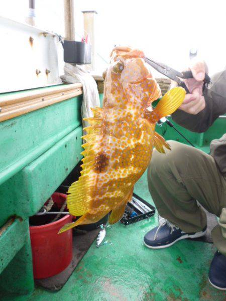 真祐丸 （しんゆうまる） 釣果