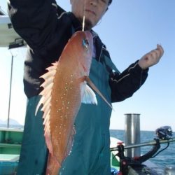 第二むつ漁丸 釣果