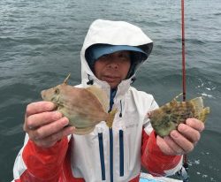 おざき丸 釣果