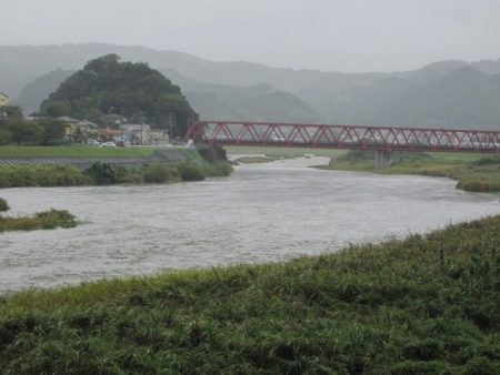 狩野川（狩野川漁業協同組合） 釣果