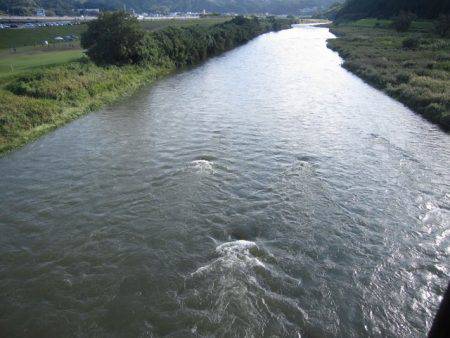 狩野川(狩野川漁業協同組合) 釣果