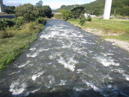 狩野川(狩野川漁業協同組合) 釣果