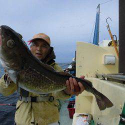 大進丸（新潟） 釣果