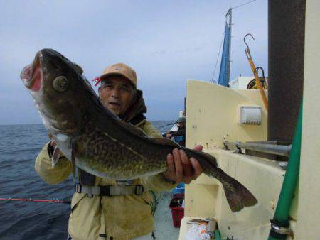大進丸（新潟） 釣果