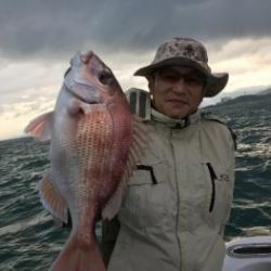 シーマジカル 釣果