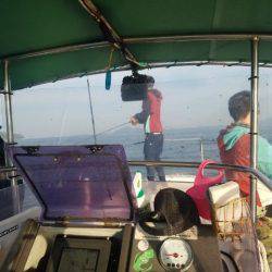 Magic（マジック） 釣果