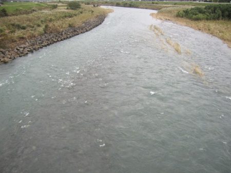 狩野川(狩野川漁業協同組合) 釣果