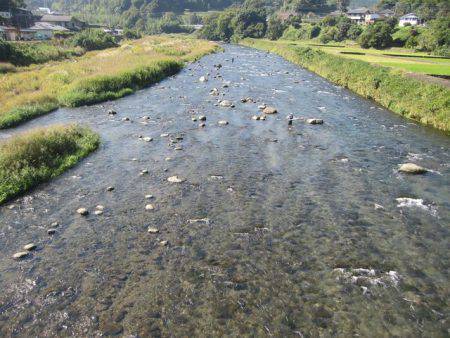 狩野川(狩野川漁業協同組合) 釣果