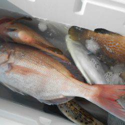 こうゆう丸 釣果