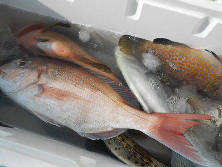 こうゆう丸 釣果