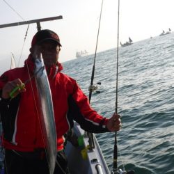 遊漁船 幸友丸 釣果