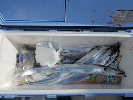 遊漁船　ニライカナイ 釣果