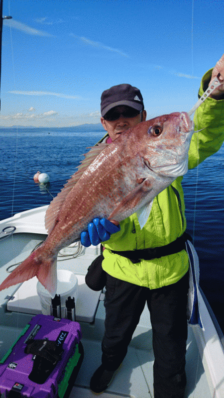 遊漁船ブルーウッズ 釣果