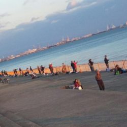 風が強かったですが、牙族は居ました