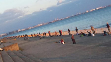 風が強かったですが、牙族は居ました