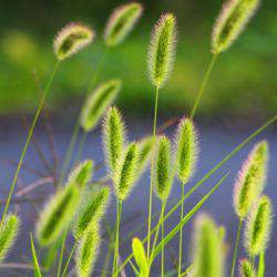 小菅トラウトガーデン 釣果