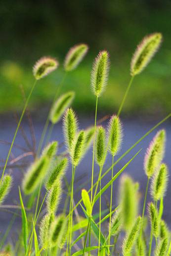 小菅トラウトガーデン 釣果
