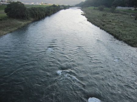 狩野川(狩野川漁業協同組合) 釣果