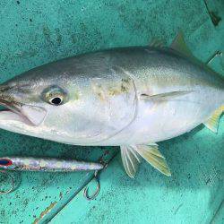 広進丸 釣果