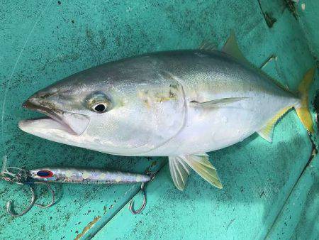 広進丸 釣果