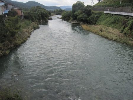 狩野川(狩野川漁業協同組合) 釣果