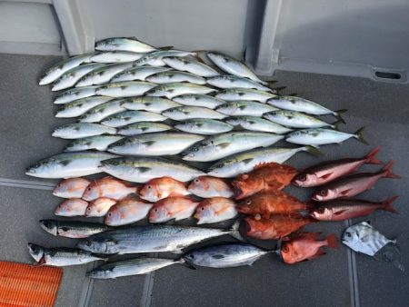 へいみつ丸 釣果