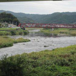 狩野川（狩野川漁業協同組合） 釣果