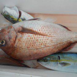 こうゆう丸 釣果