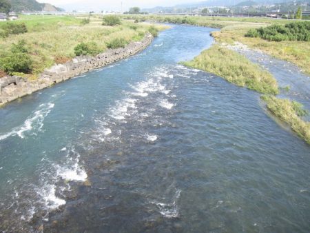 狩野川(狩野川漁業協同組合) 釣果
