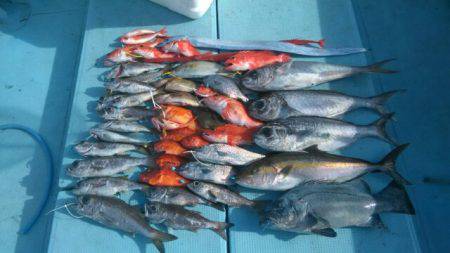 あき丸 釣果