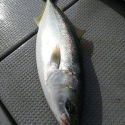 IDATEN(イダテン) 釣果