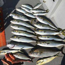 へいみつ丸 釣果