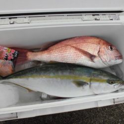 大進丸(新潟) 釣果