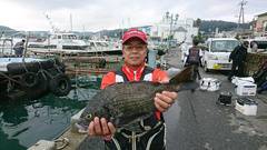 まこと渡船 釣果