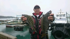 まこと渡船 釣果