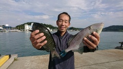 まこと渡船 釣果