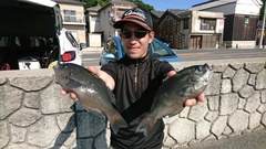 まこと渡船 釣果