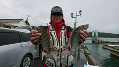 まこと渡船 釣果