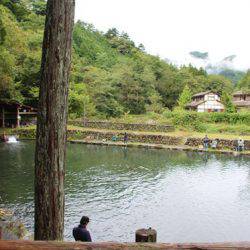 小菅トラウトガーデン 釣果