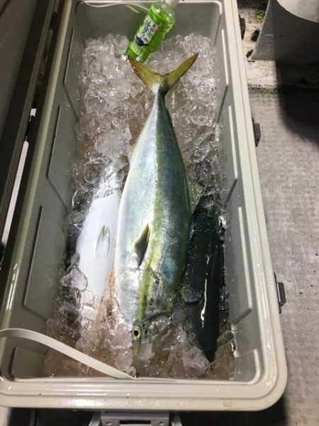 龍宮丸 釣果