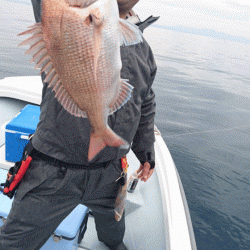 遊漁船ブルーウッズ 釣果