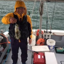 遊漁船高橋 釣果